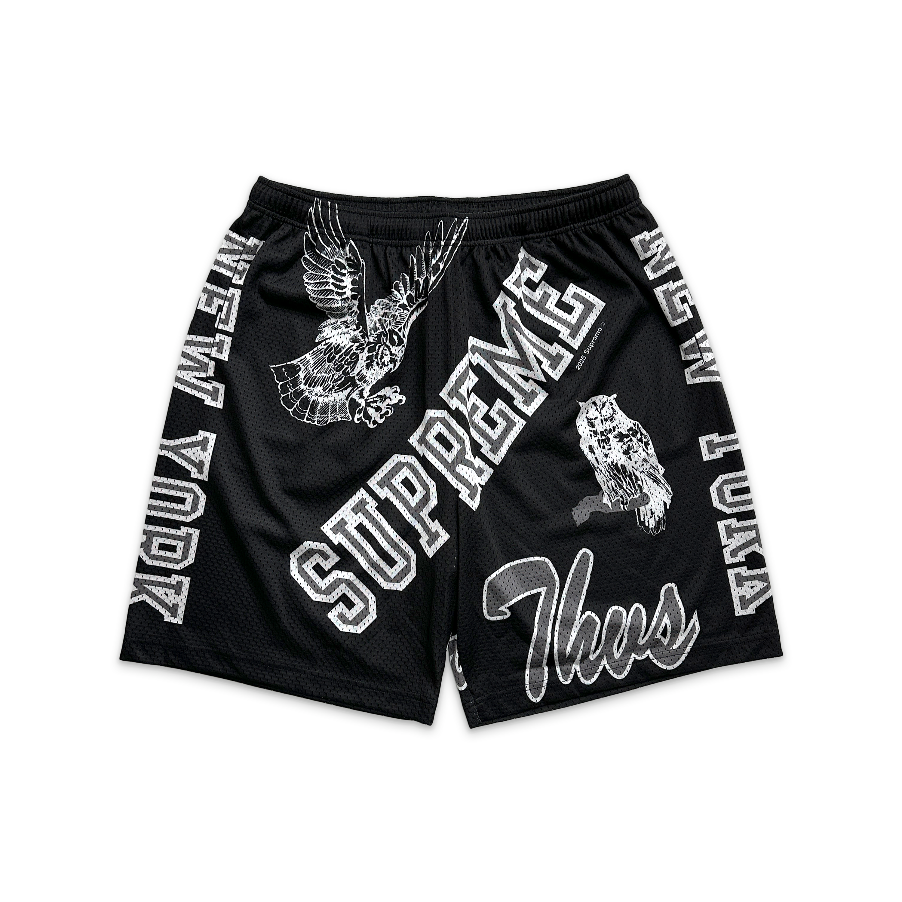 Supreme, Varsity Mesh Shorts "Black"