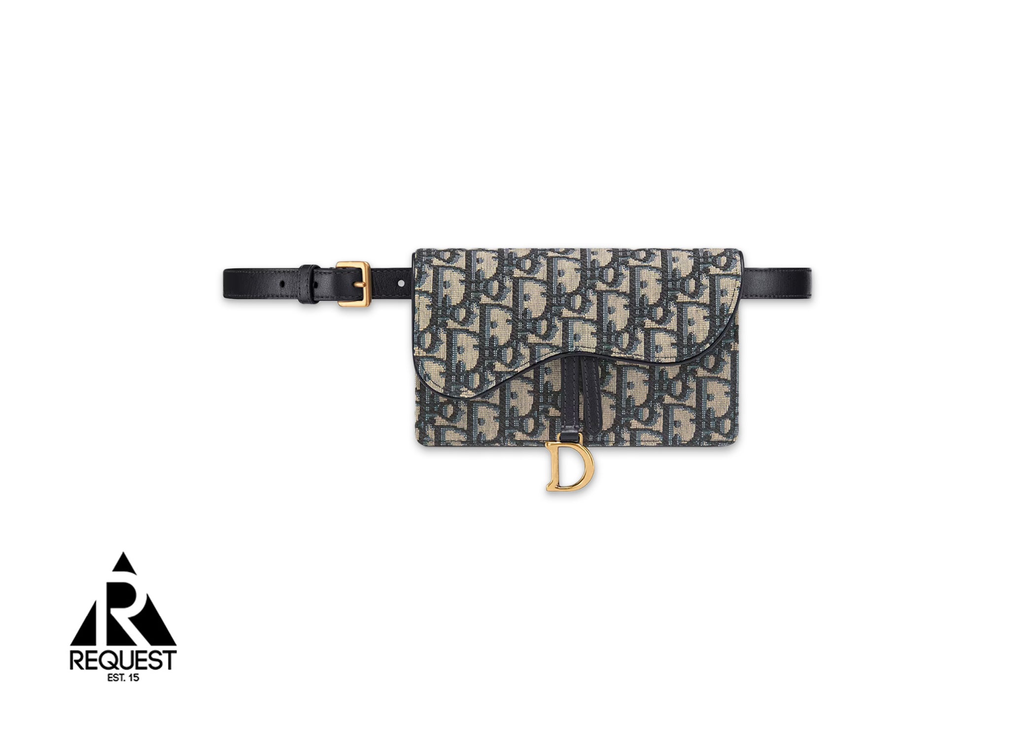 Dior Saddle Belt Pouch "Oblique"