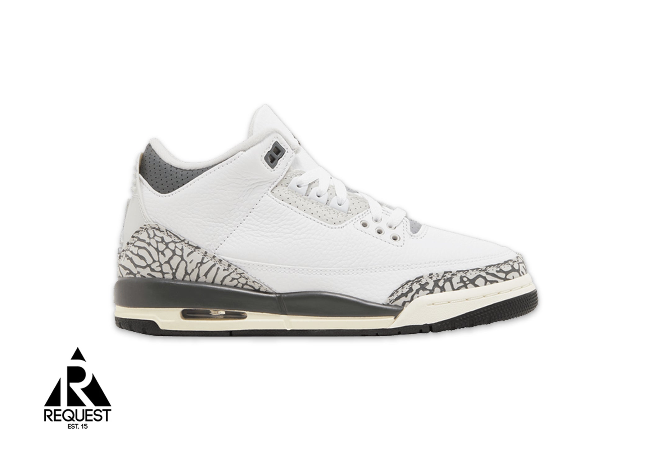 Air Jordan 3 Retro "Hide N' Sneak" (GS)