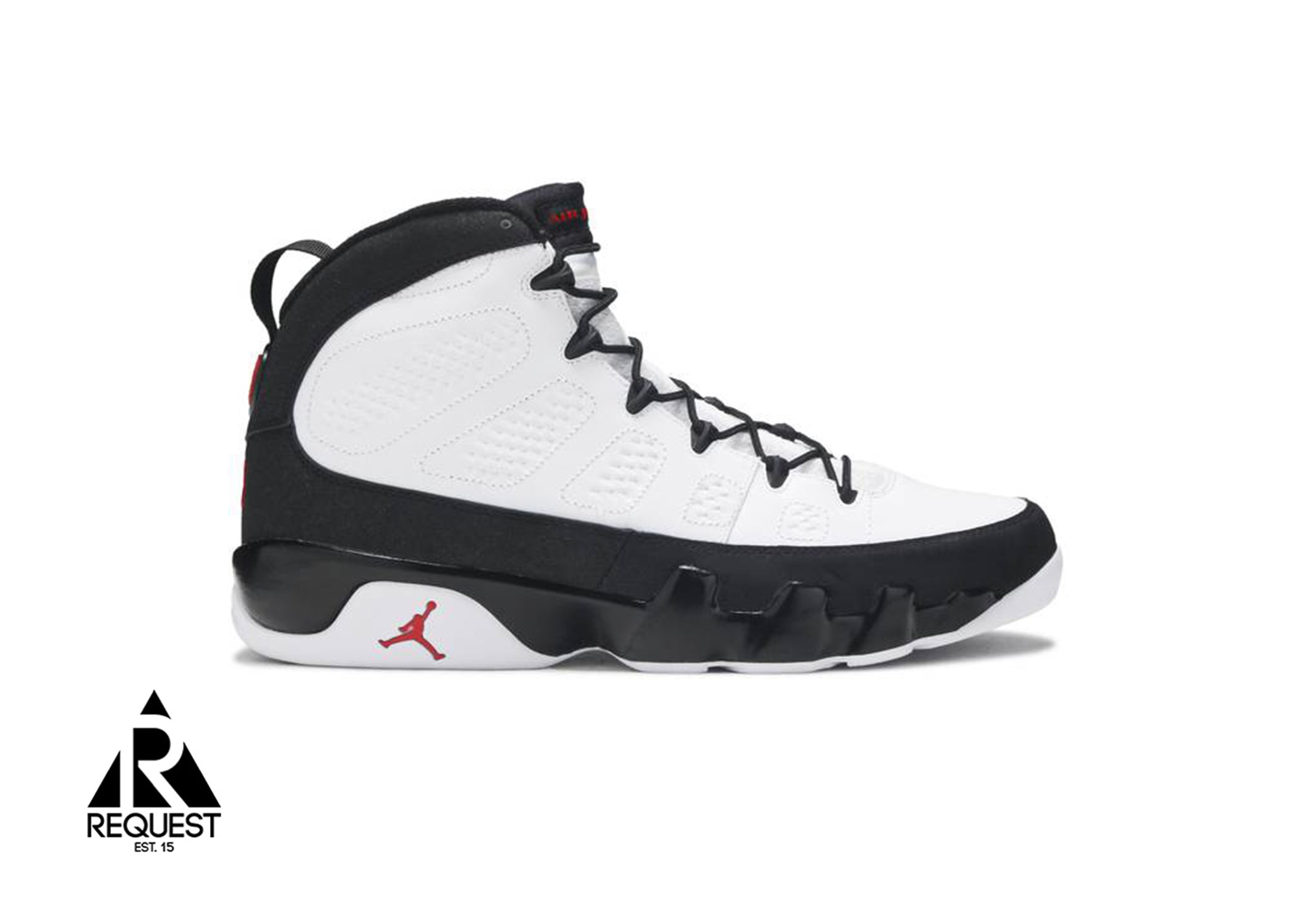 Air Jordan 9 Retro “OG 2010”