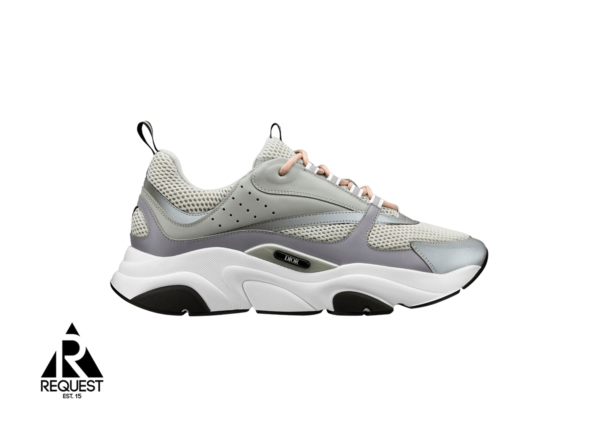 Dior B22 “Grey White”