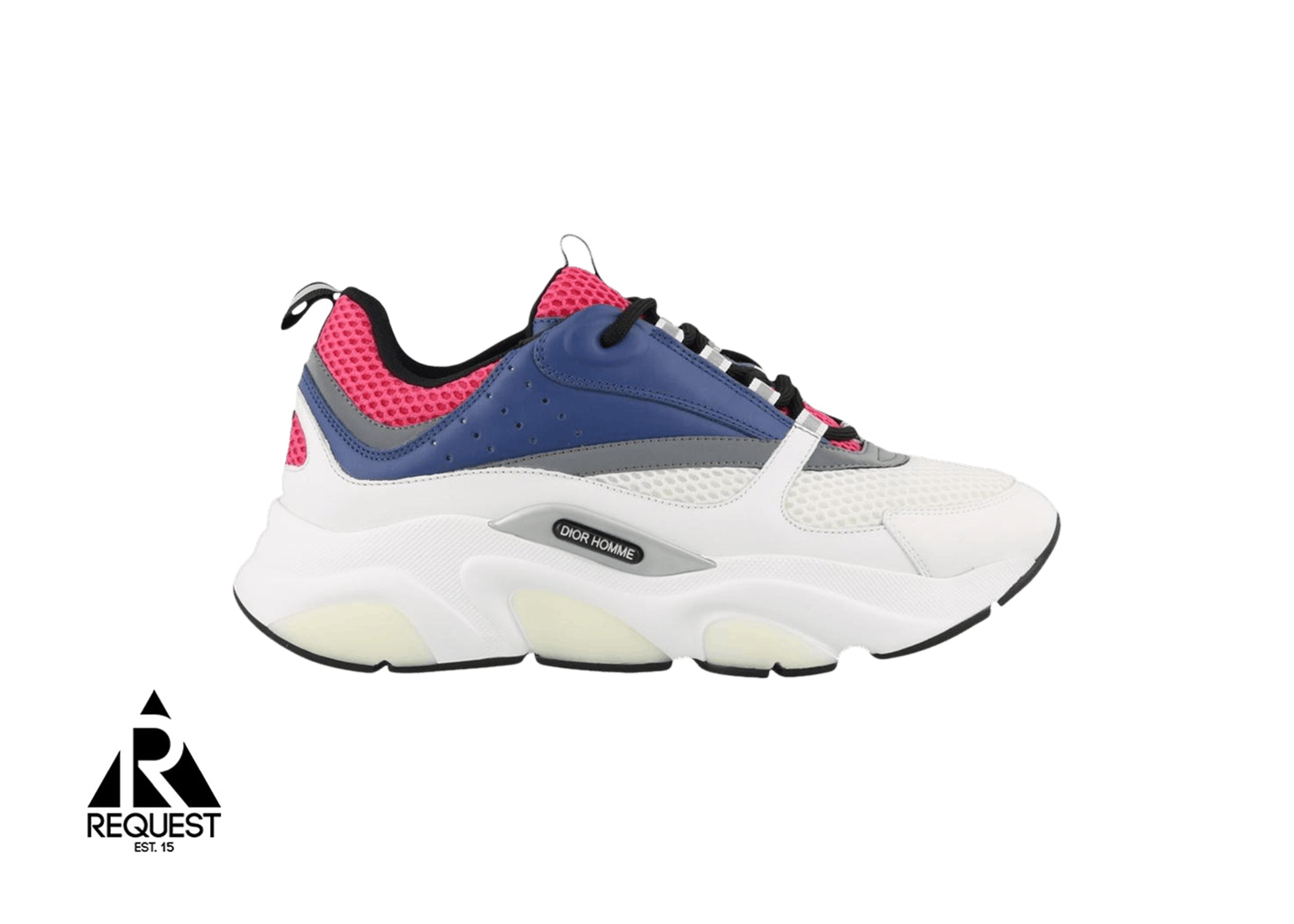 Dior B22 "Pink Blue"