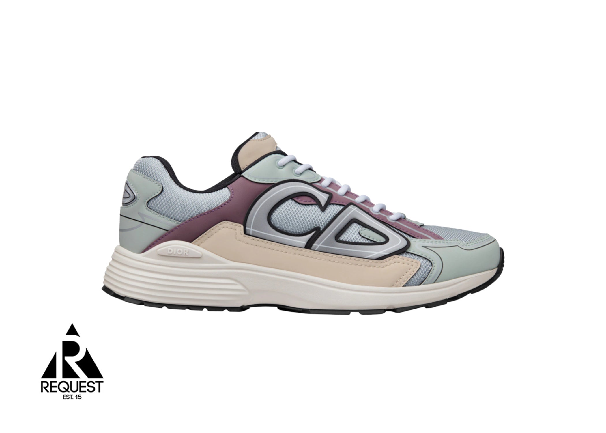 Dior B30 "Light Green Beige Purple"
