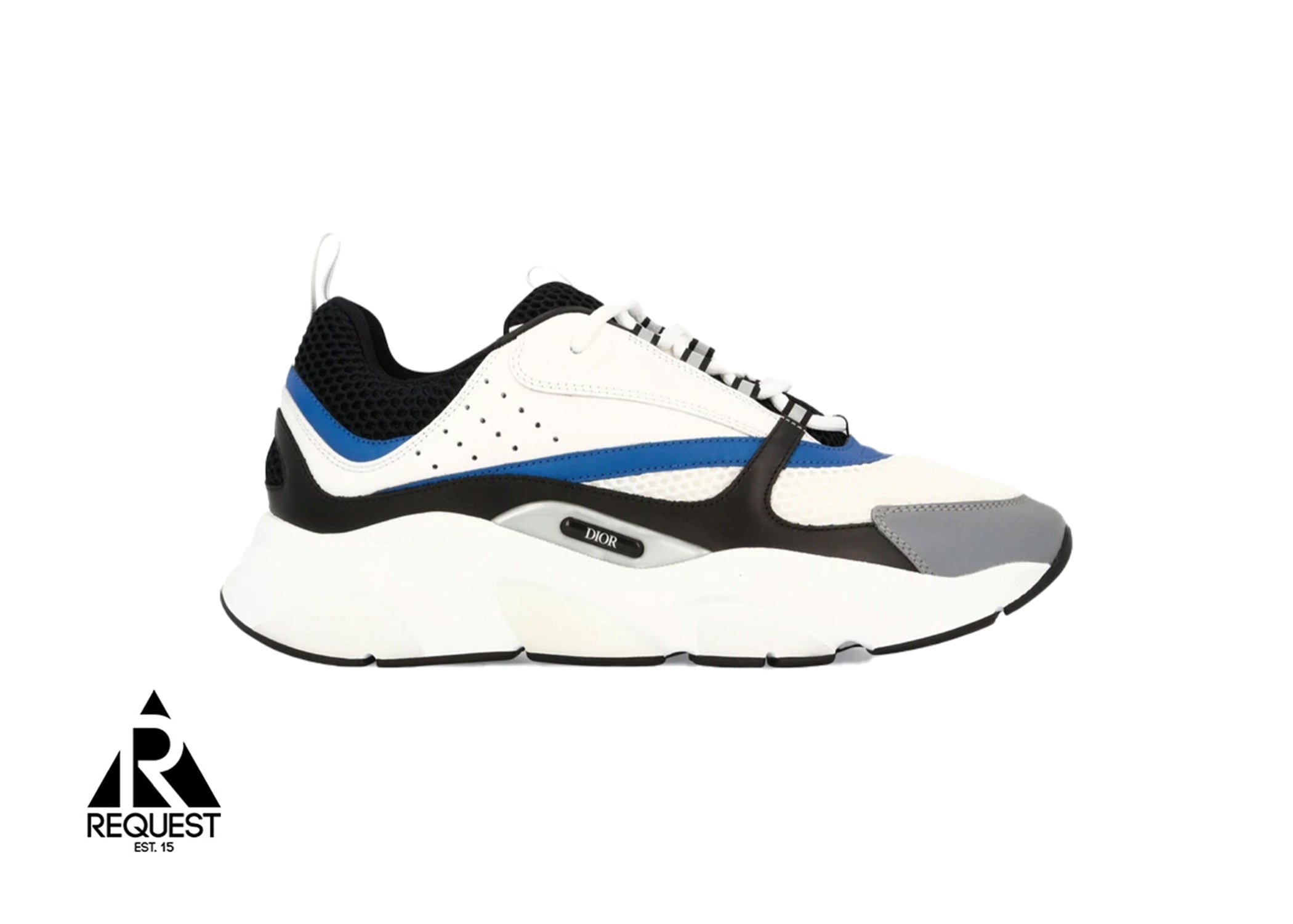 Dior B22 “Blue White Grey”