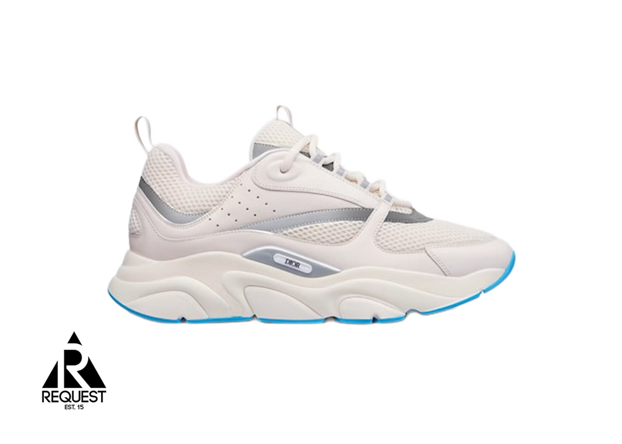 Dior B22 "White Silver Blue"