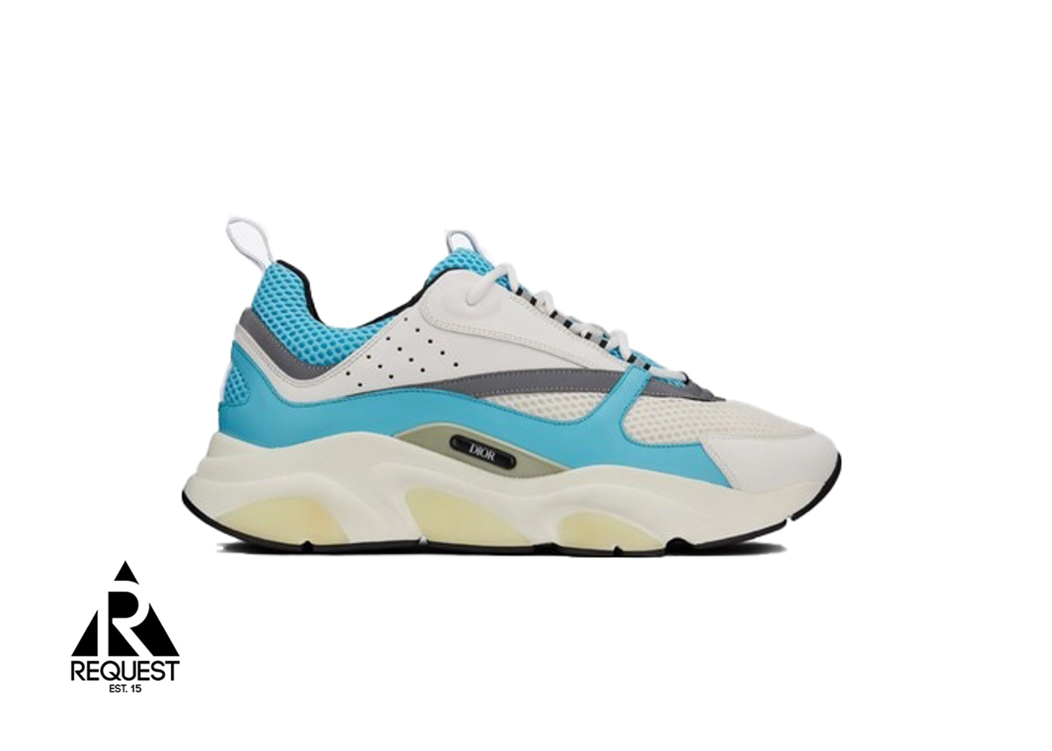 Dior B22 “Light Blue White”