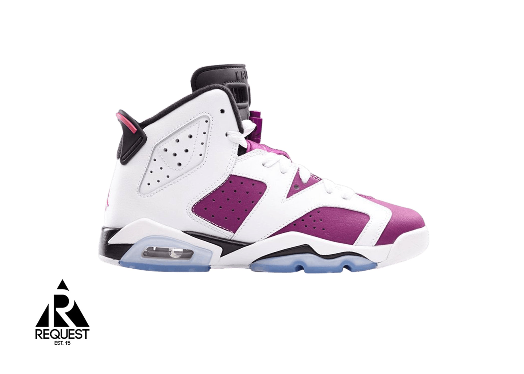Air Jordan 6 Retro “Grape”