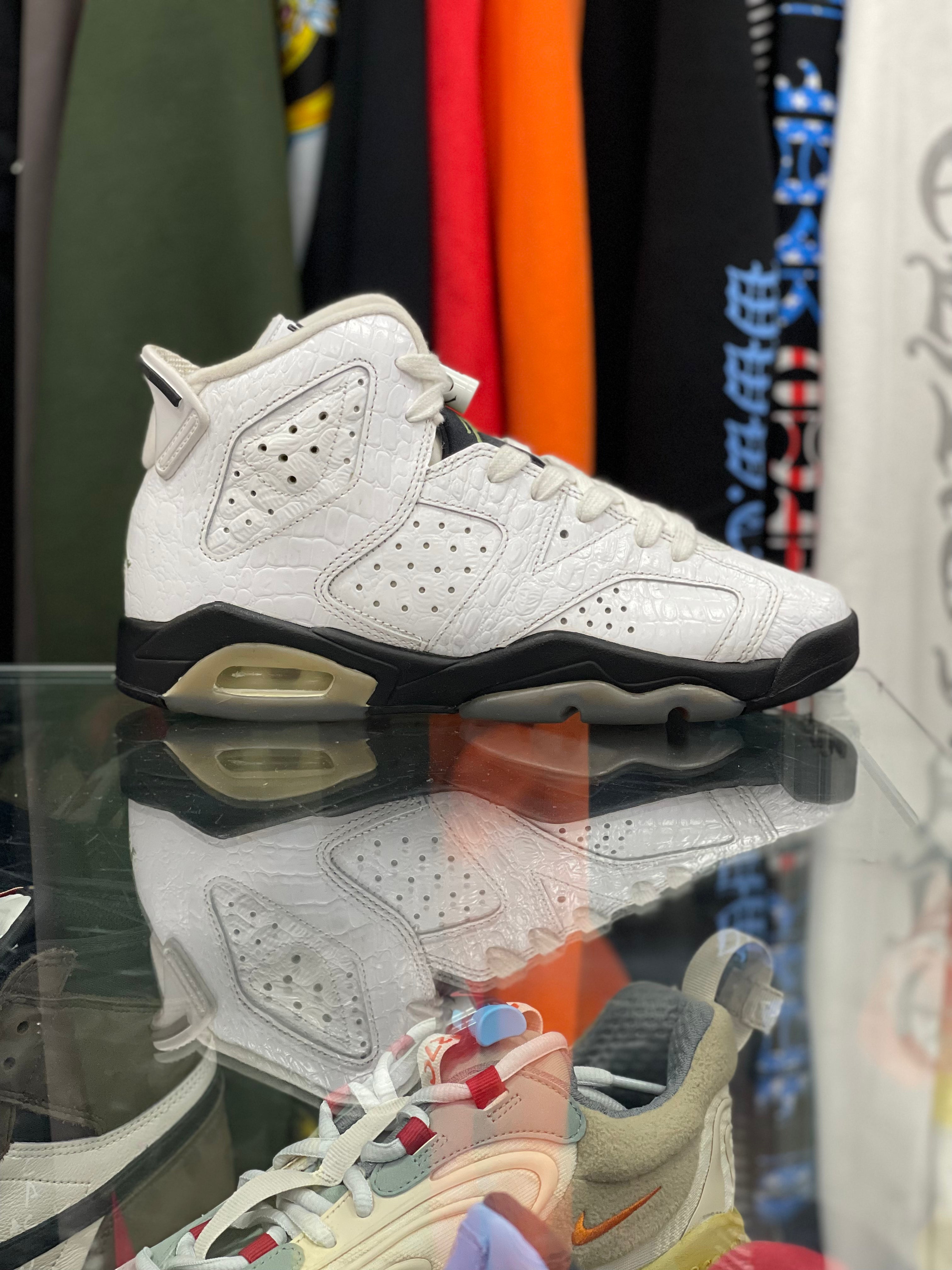 Air Jordan 6 Retro "Alligator"