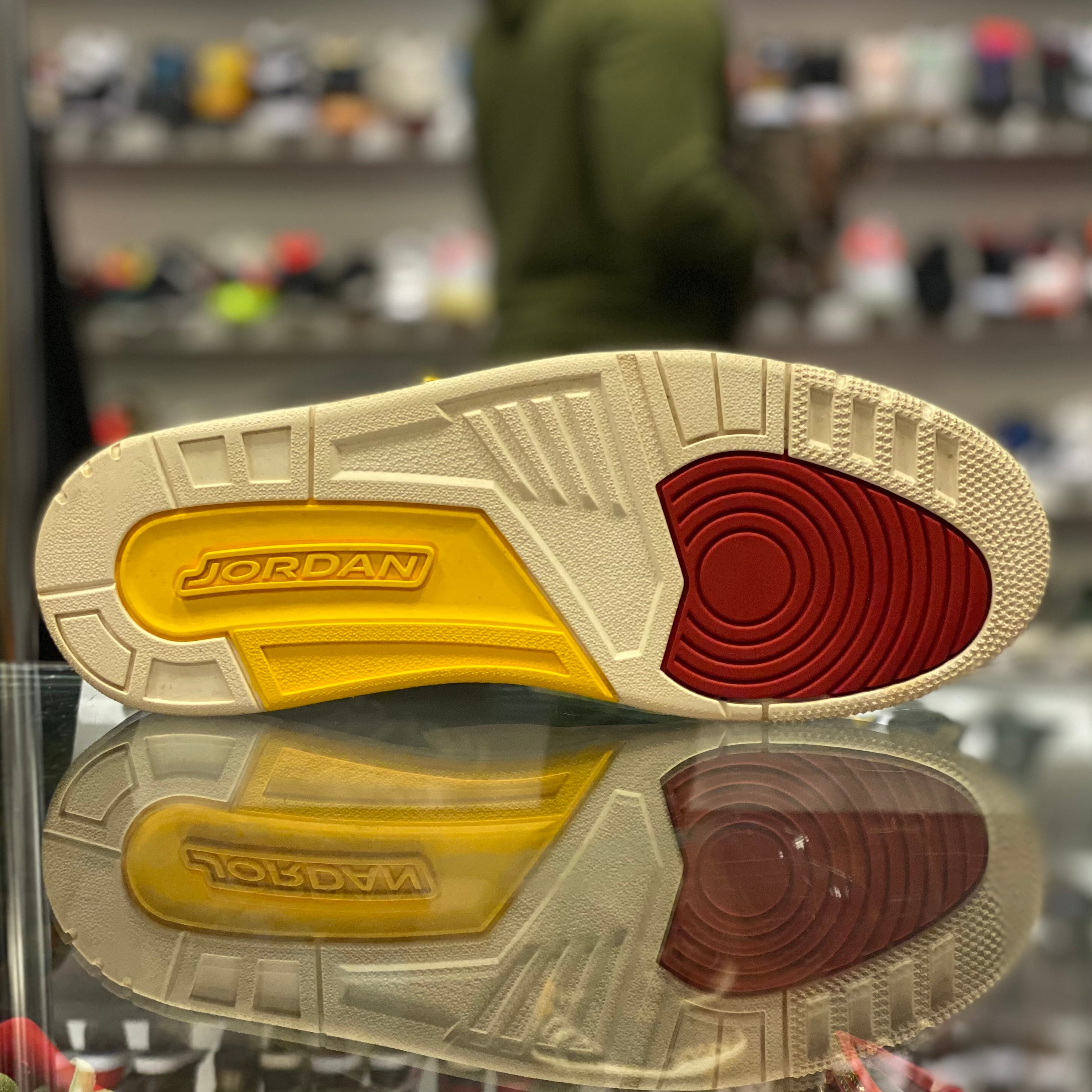 Air Jordan Retro 3 “Animal 2.0”