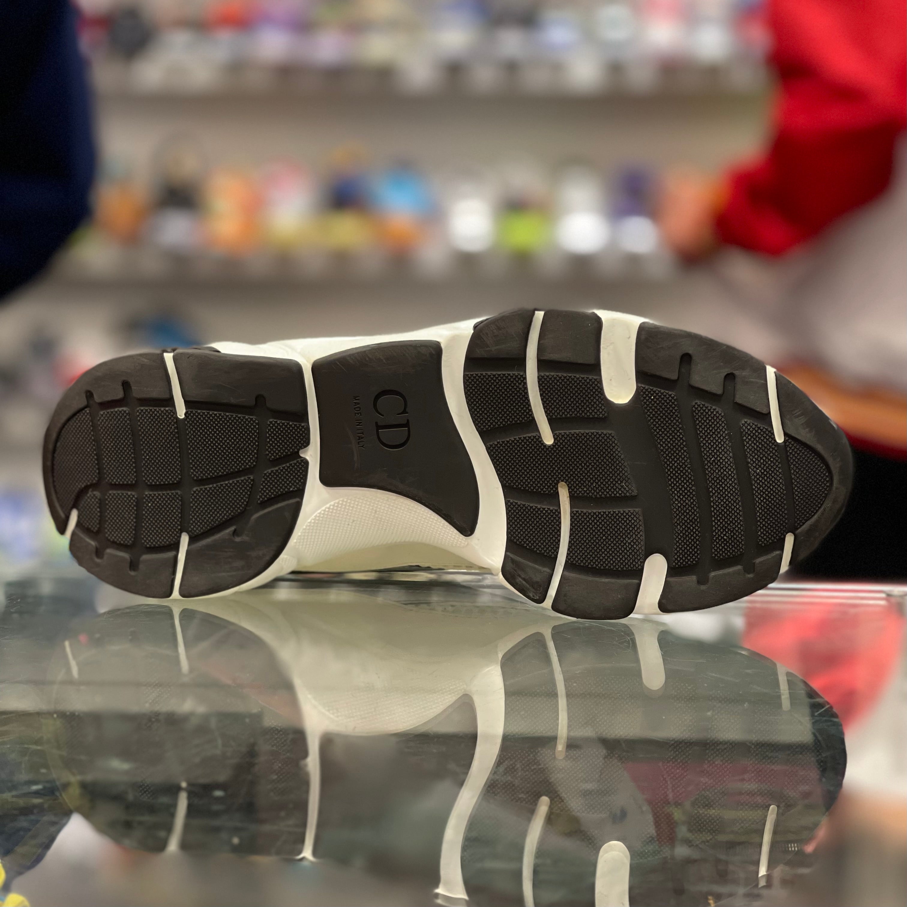 Dior B22 “White Green”