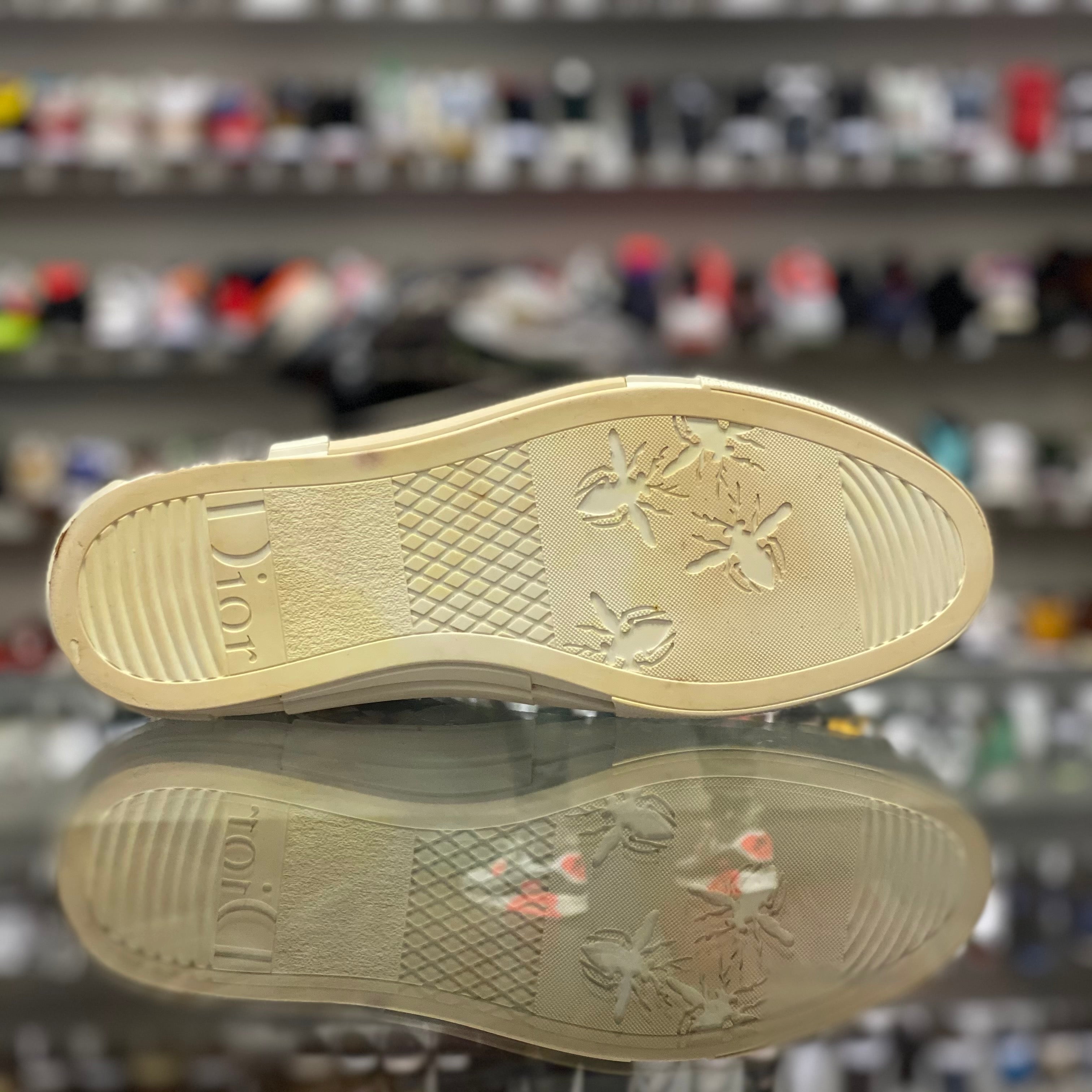 Dior B23 High “Sorayama Dinosaur"