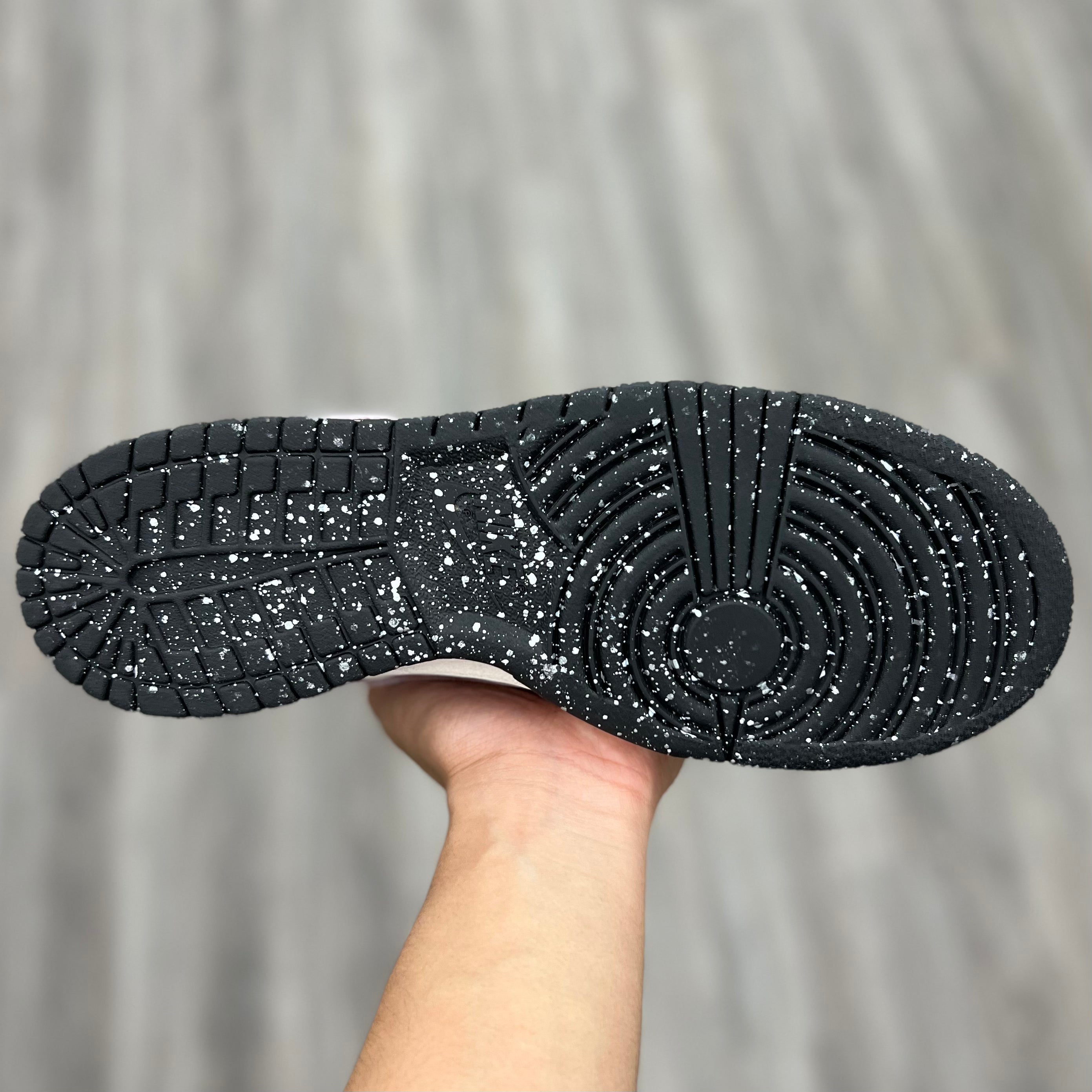 Nike Dunk Low " Graphite Purple Silver (W)"