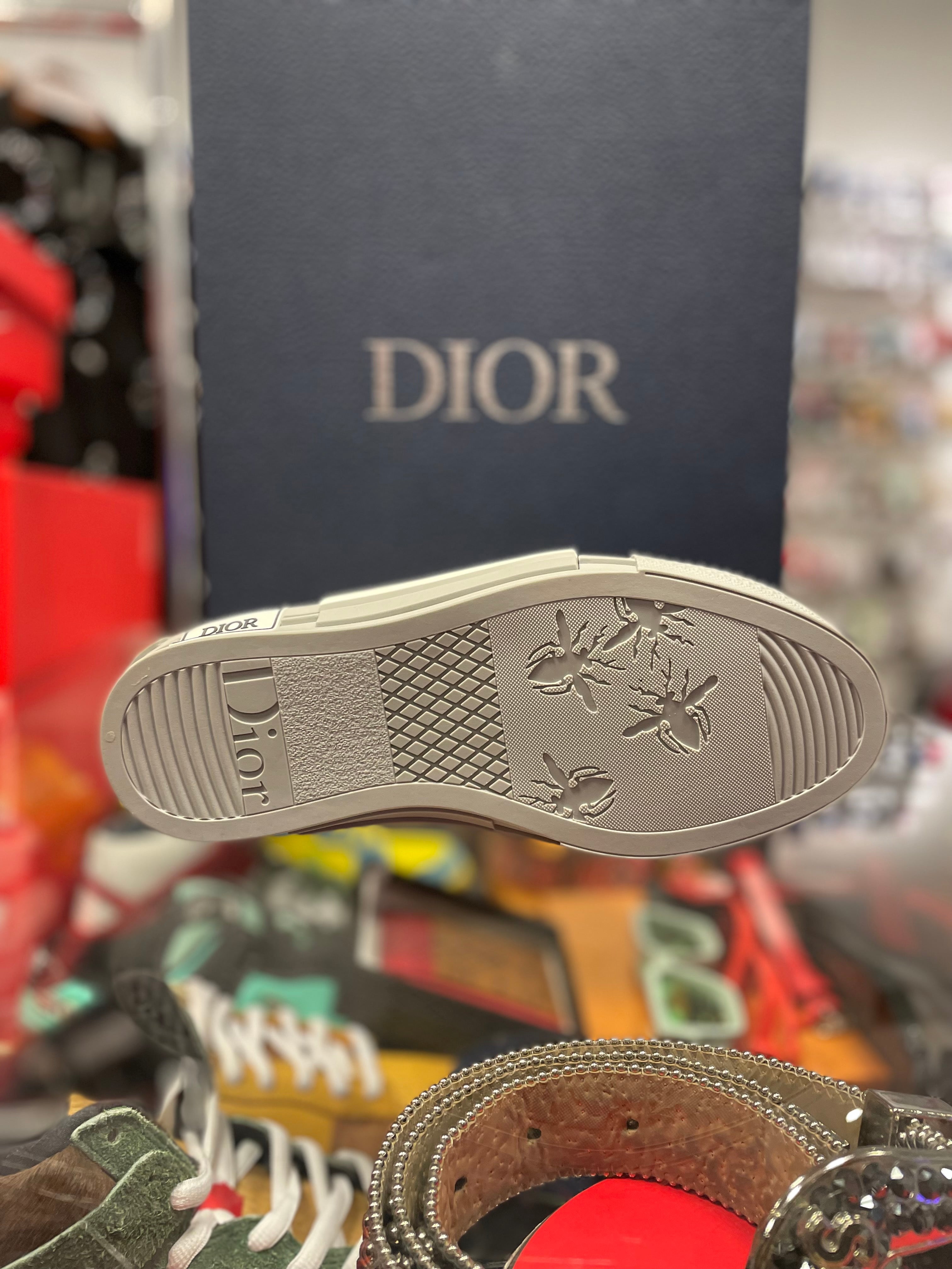 Dior B23 “Oblique Grey”