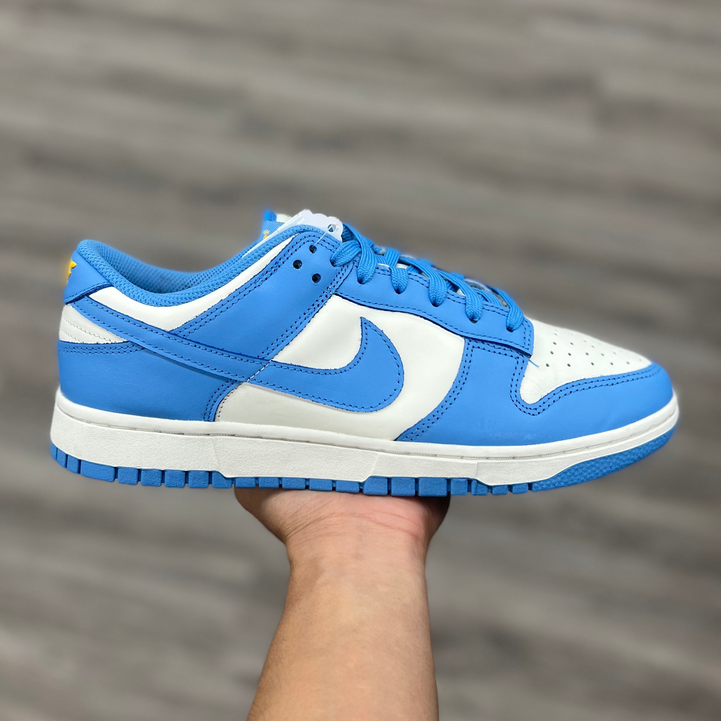 Nike Dunk Low “Coast (W)”