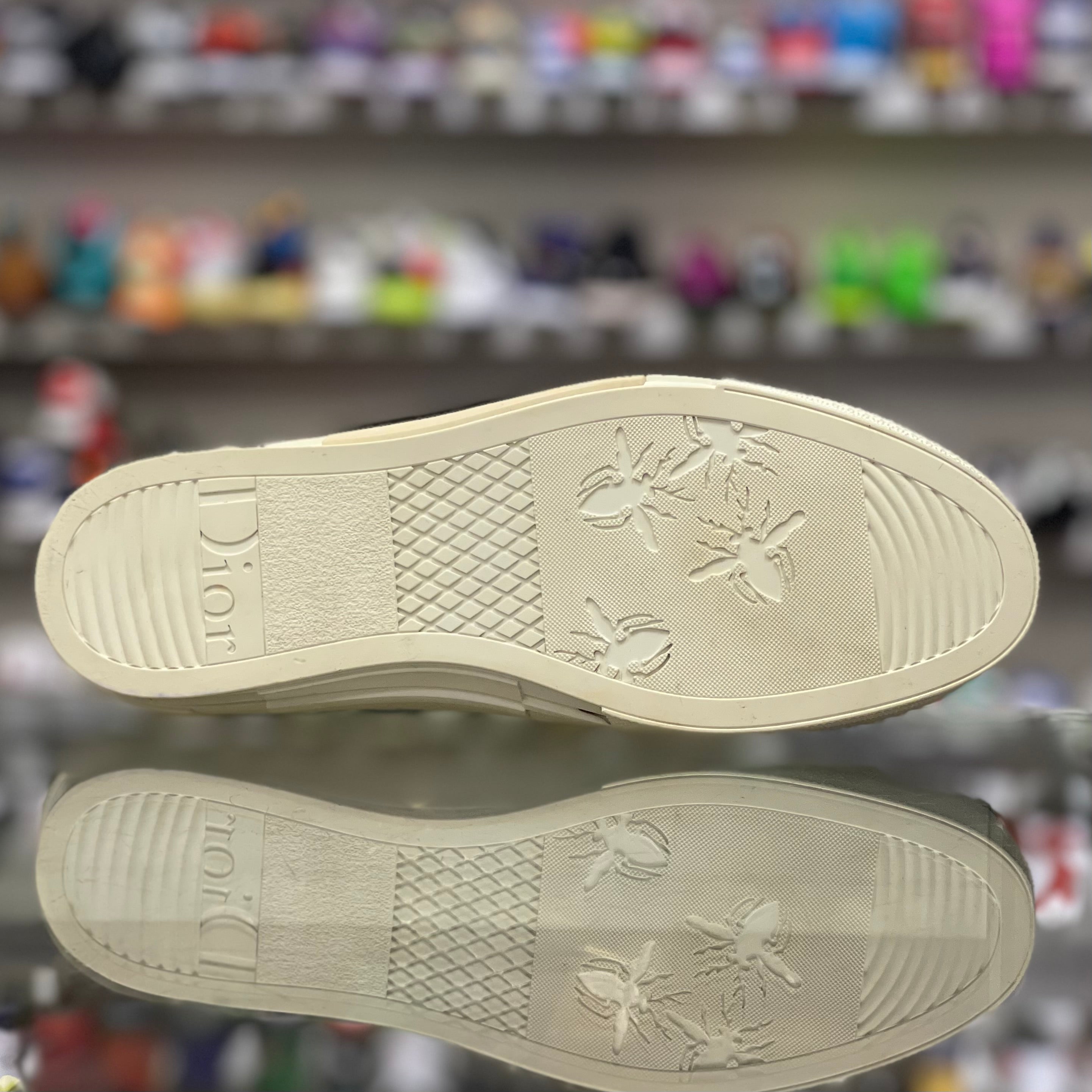 Dior High B23 “Shawn Stussy”