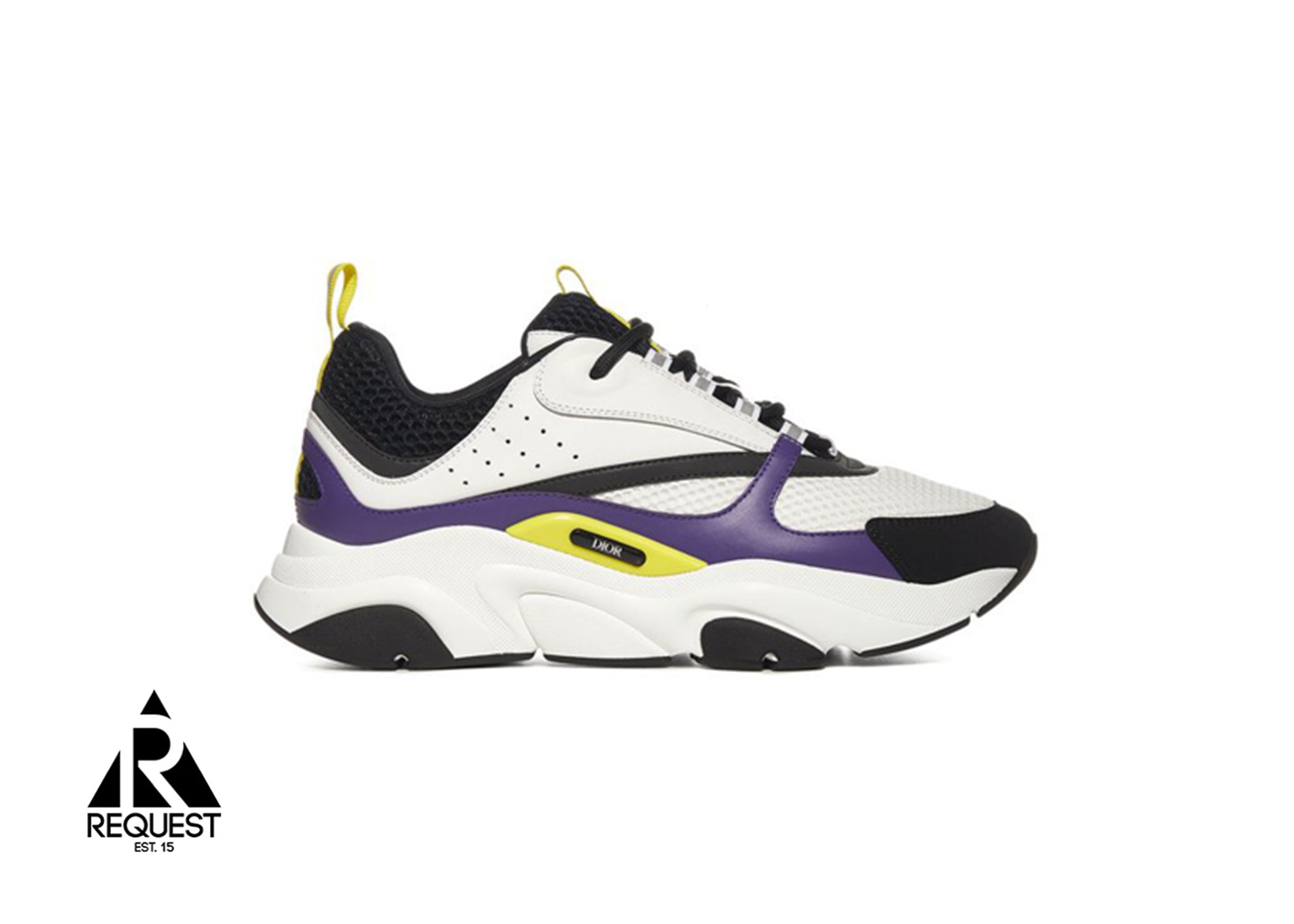 Dior B22 “Purple & Yellow”