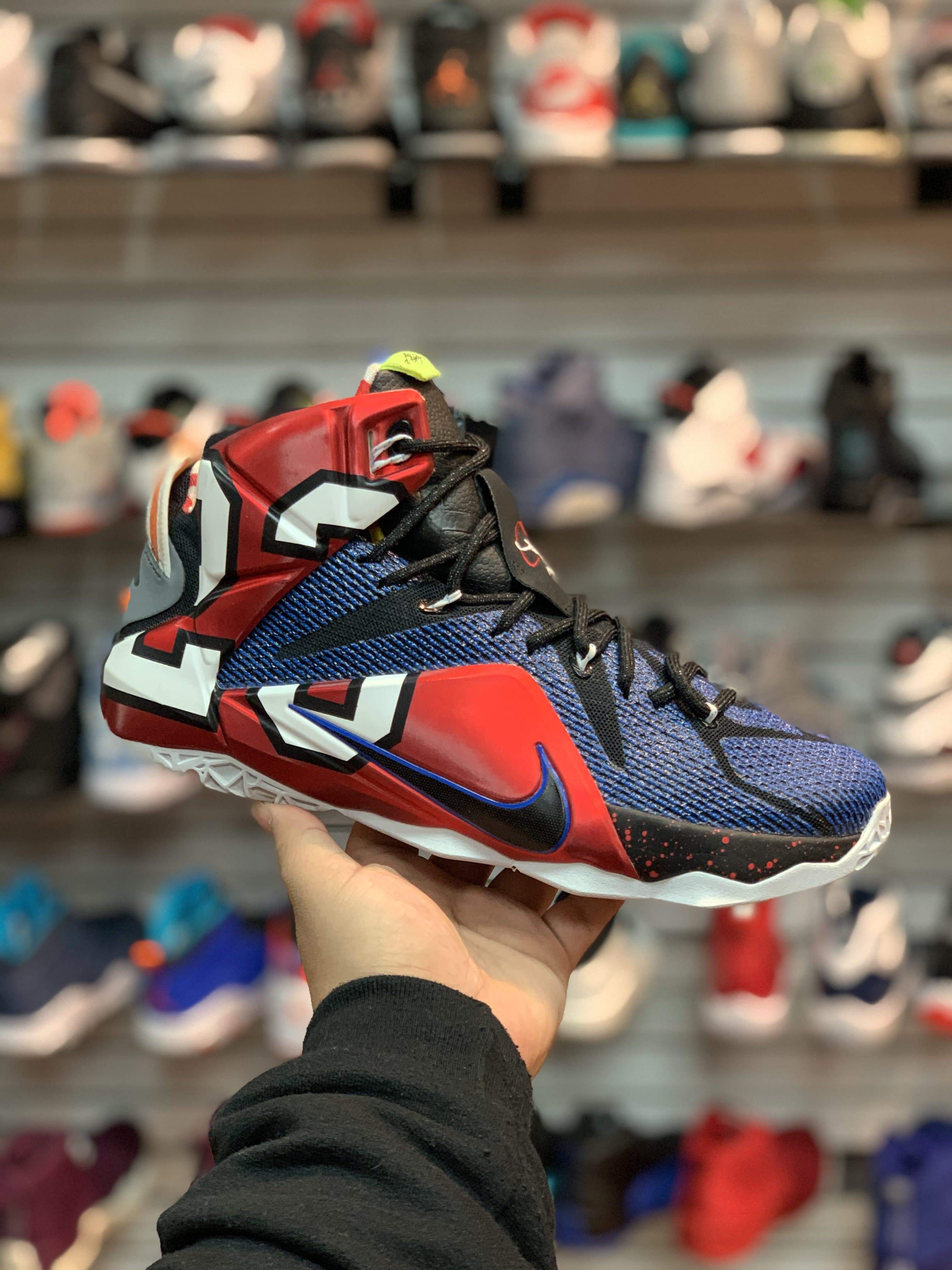 LeBron 12 “What The”