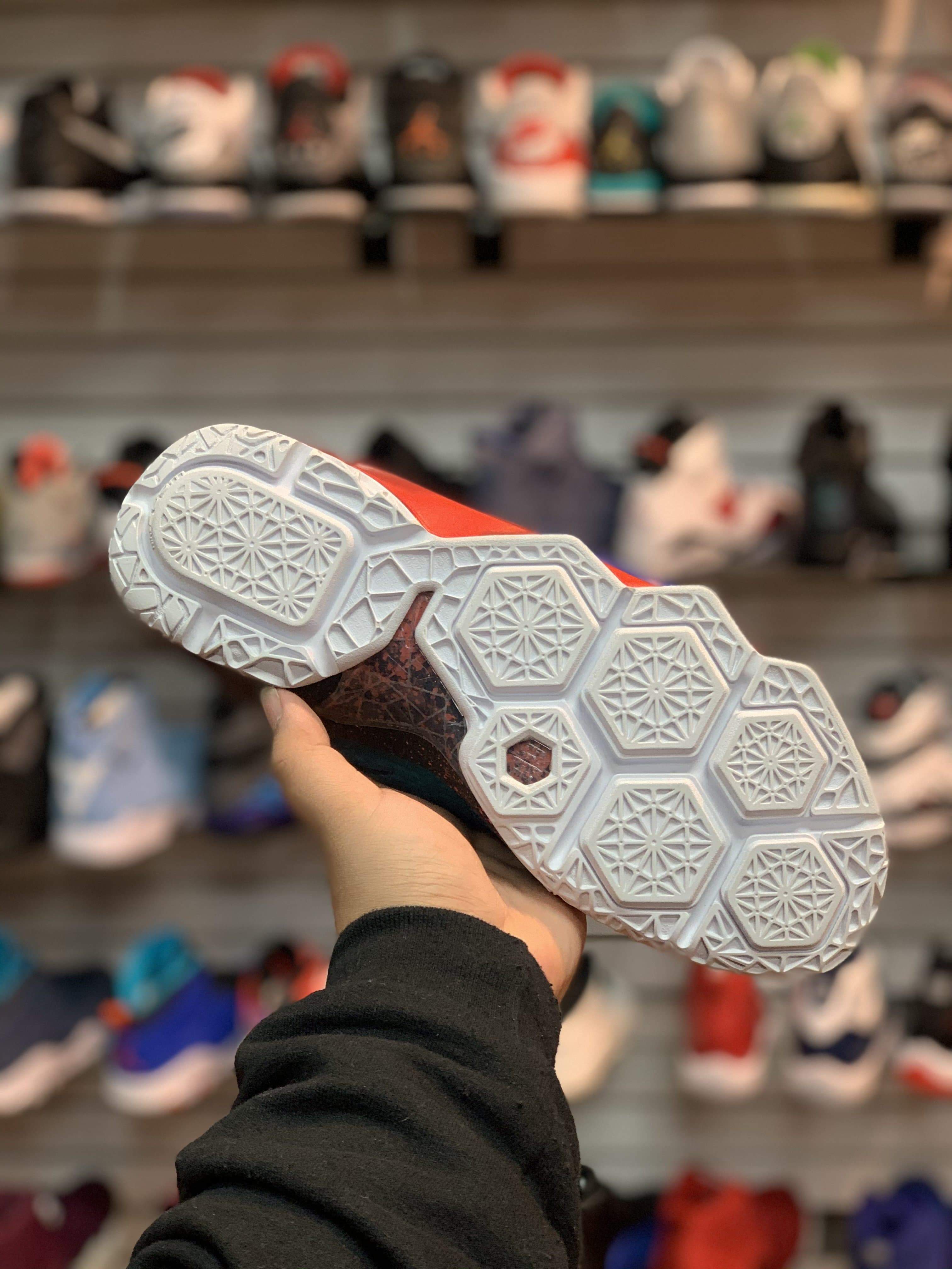 LeBron 12 “What The”