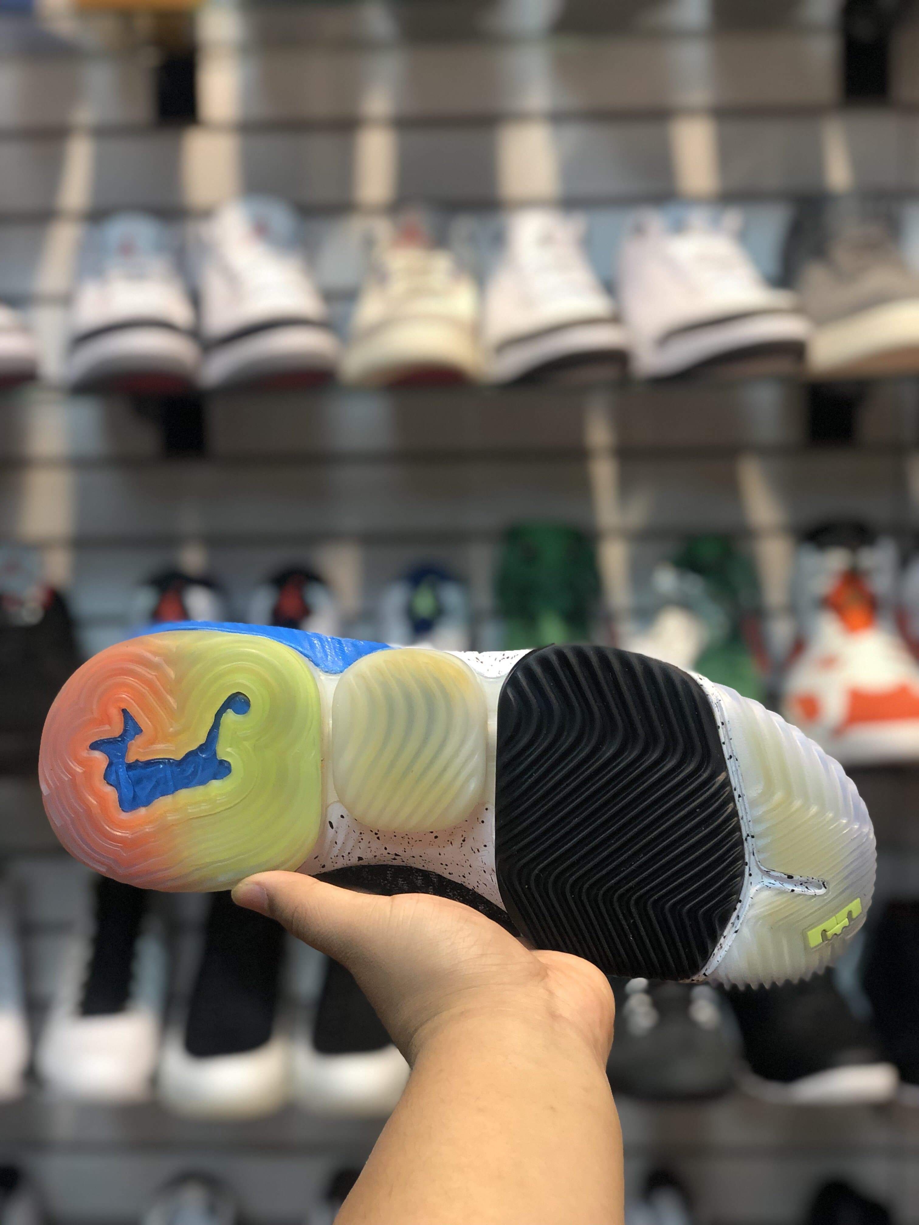 LeBron 16 “What The”