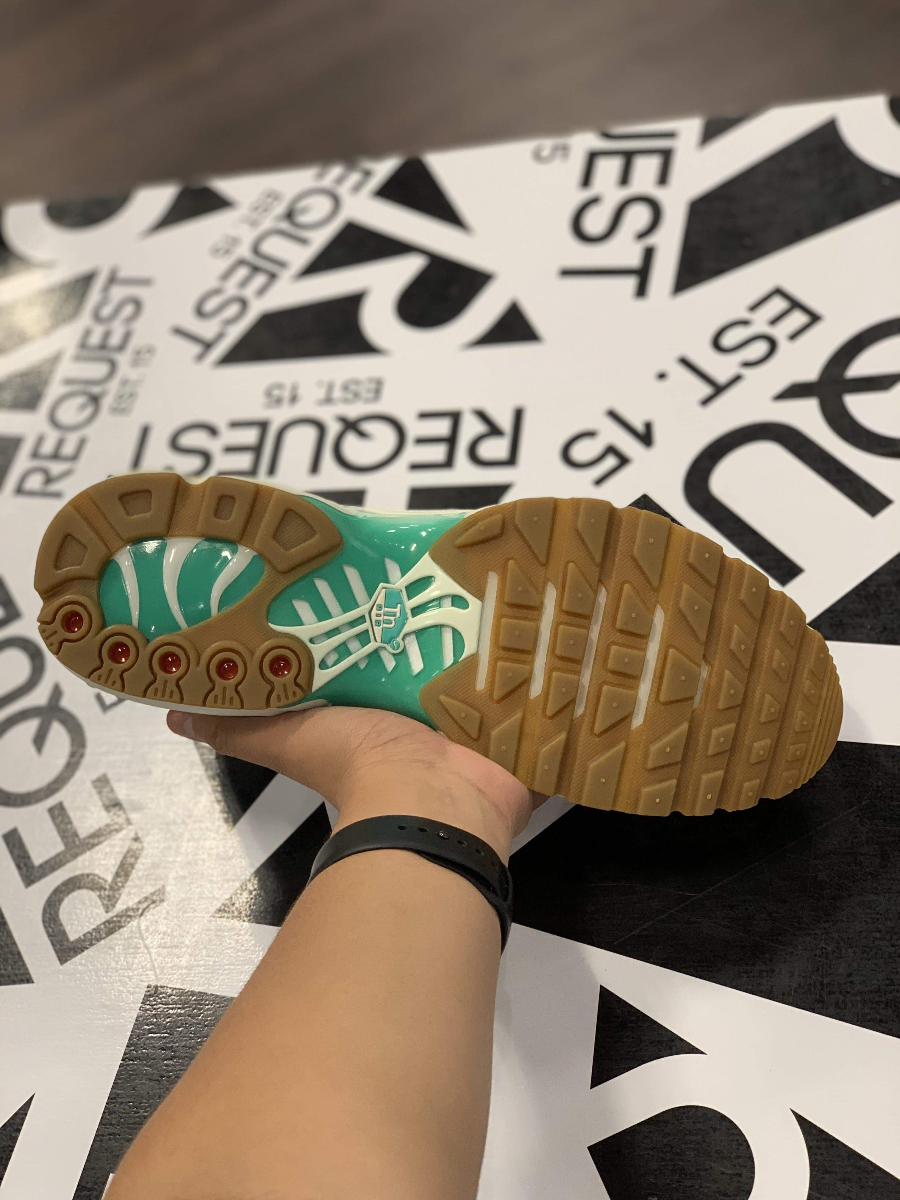 Nike Air Max Plus “Galaxy”