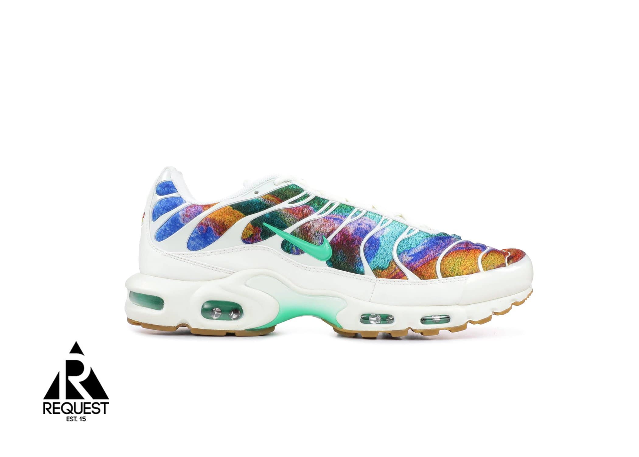 Nike Air Max Plus “Galaxy”