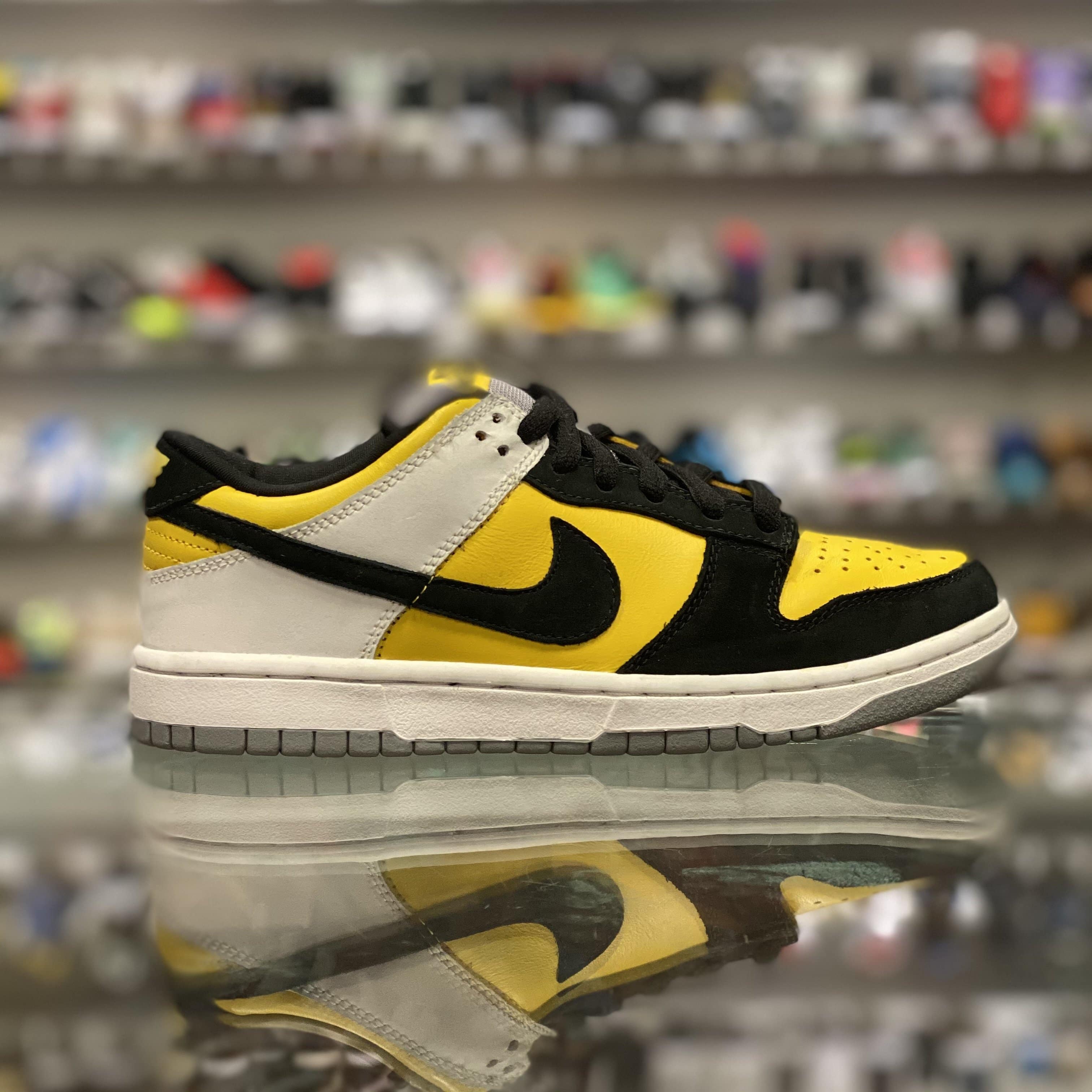 Nike SB Dunk Low “Bic”