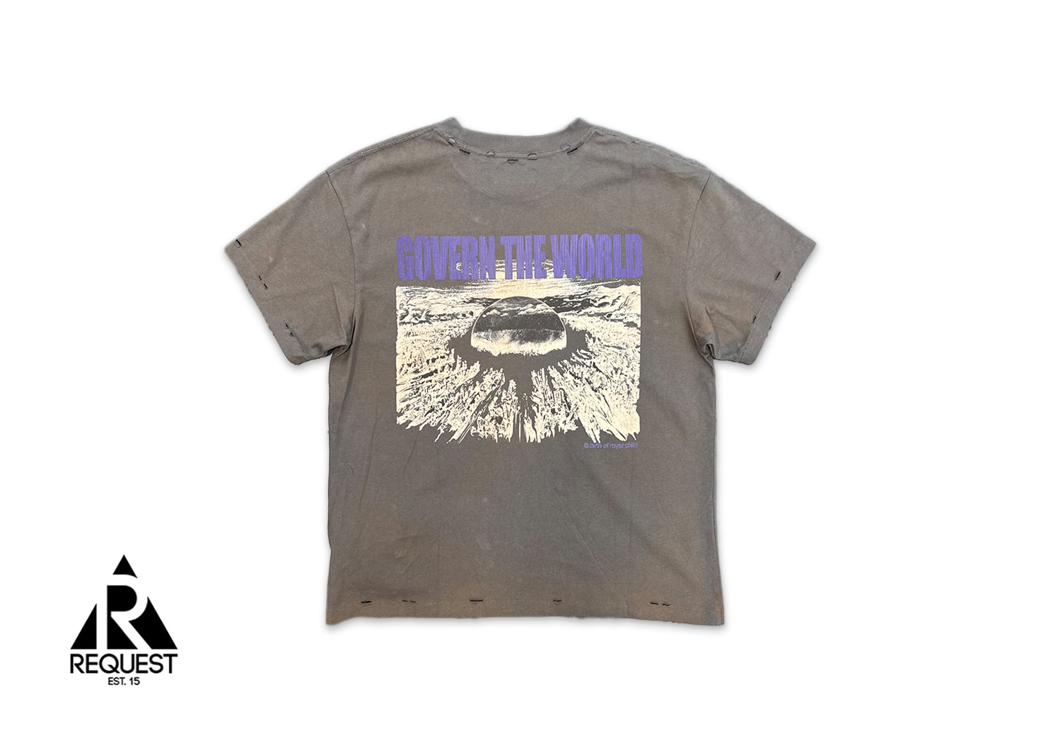 AKIRA Destroyed Vintage Tee "Grey"