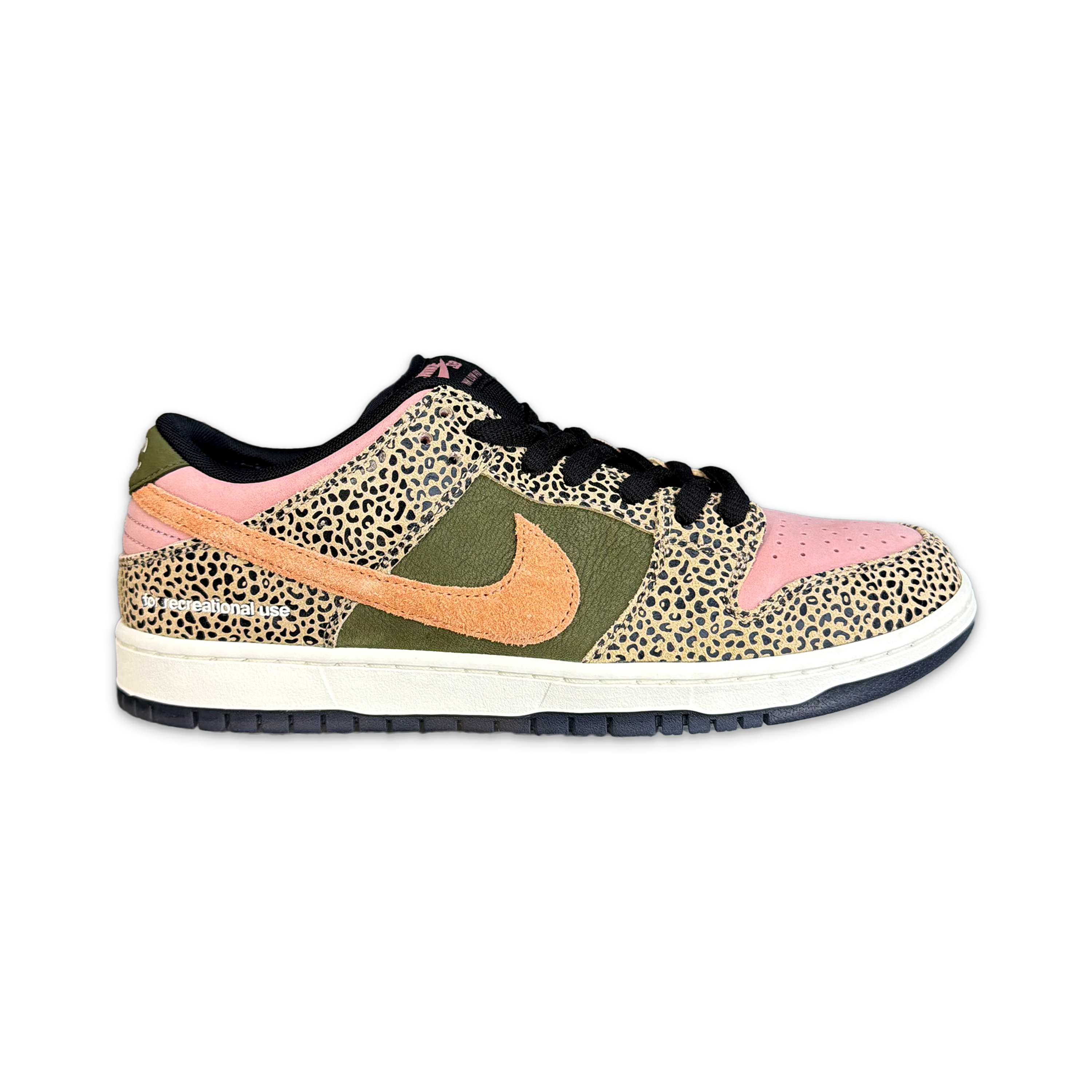 SB Dunk Low "Arts-Rec"