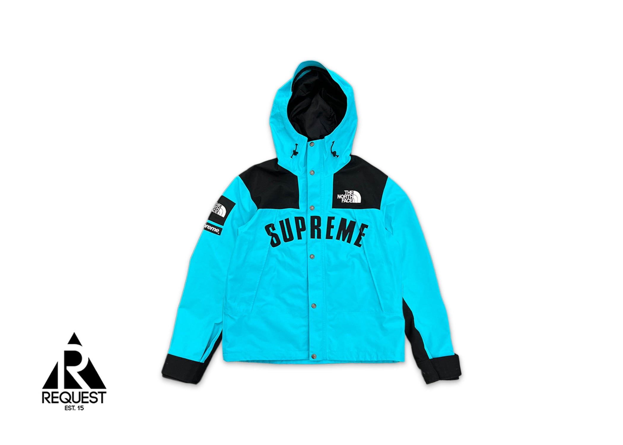 x The North Face Arc Logo Mountain Parka Jacket "Teal"