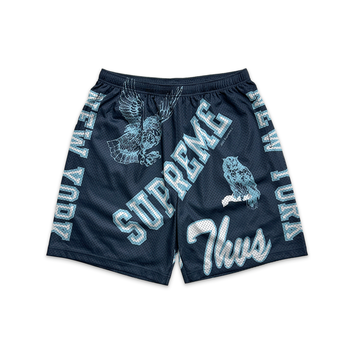 supreme Varsity Mesh Short ネイビー　Sサイズ Supreme Varsity Mesh Short Navy Men's - SS25 - US