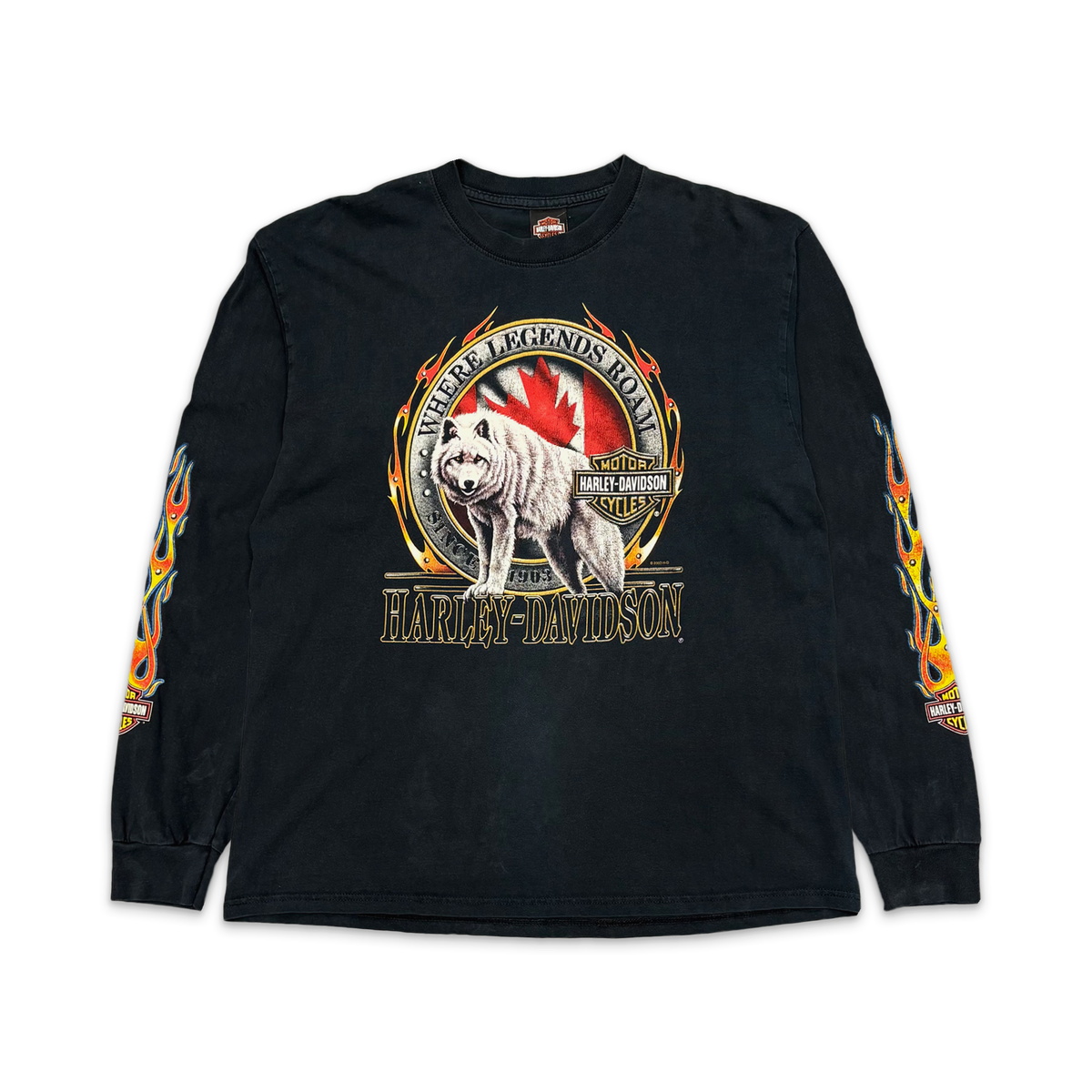 Vintage, Harley Davidson Where Legends Roam L/S Tee "Black"