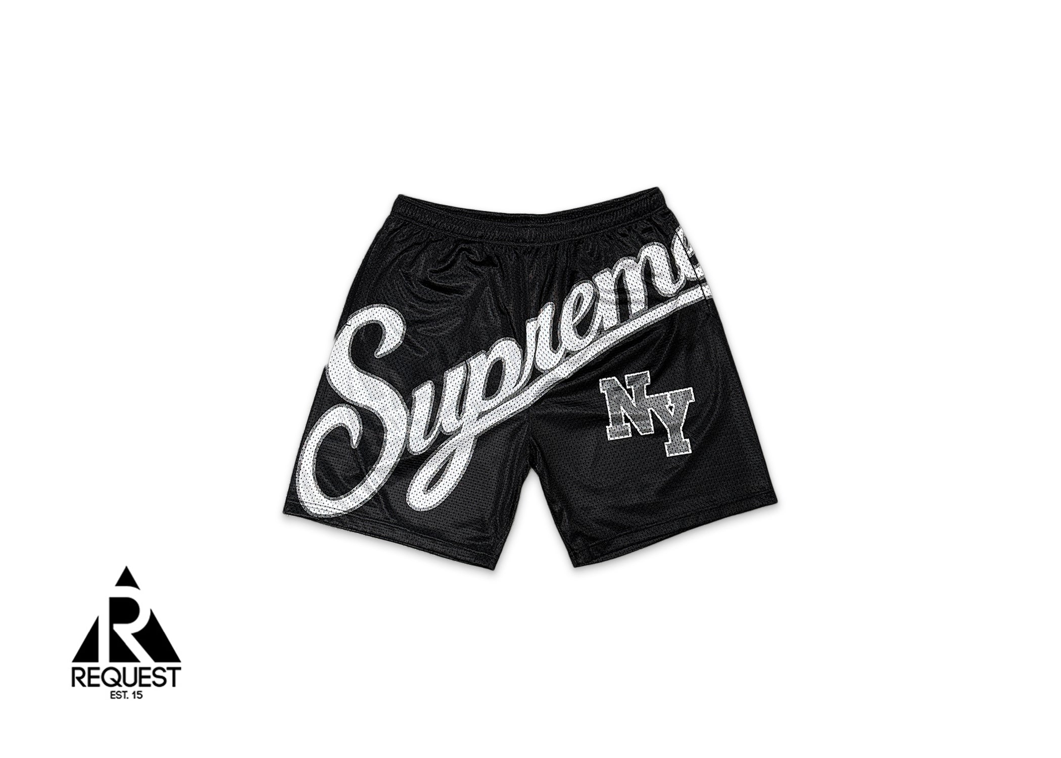 Big Mesh Shorts 