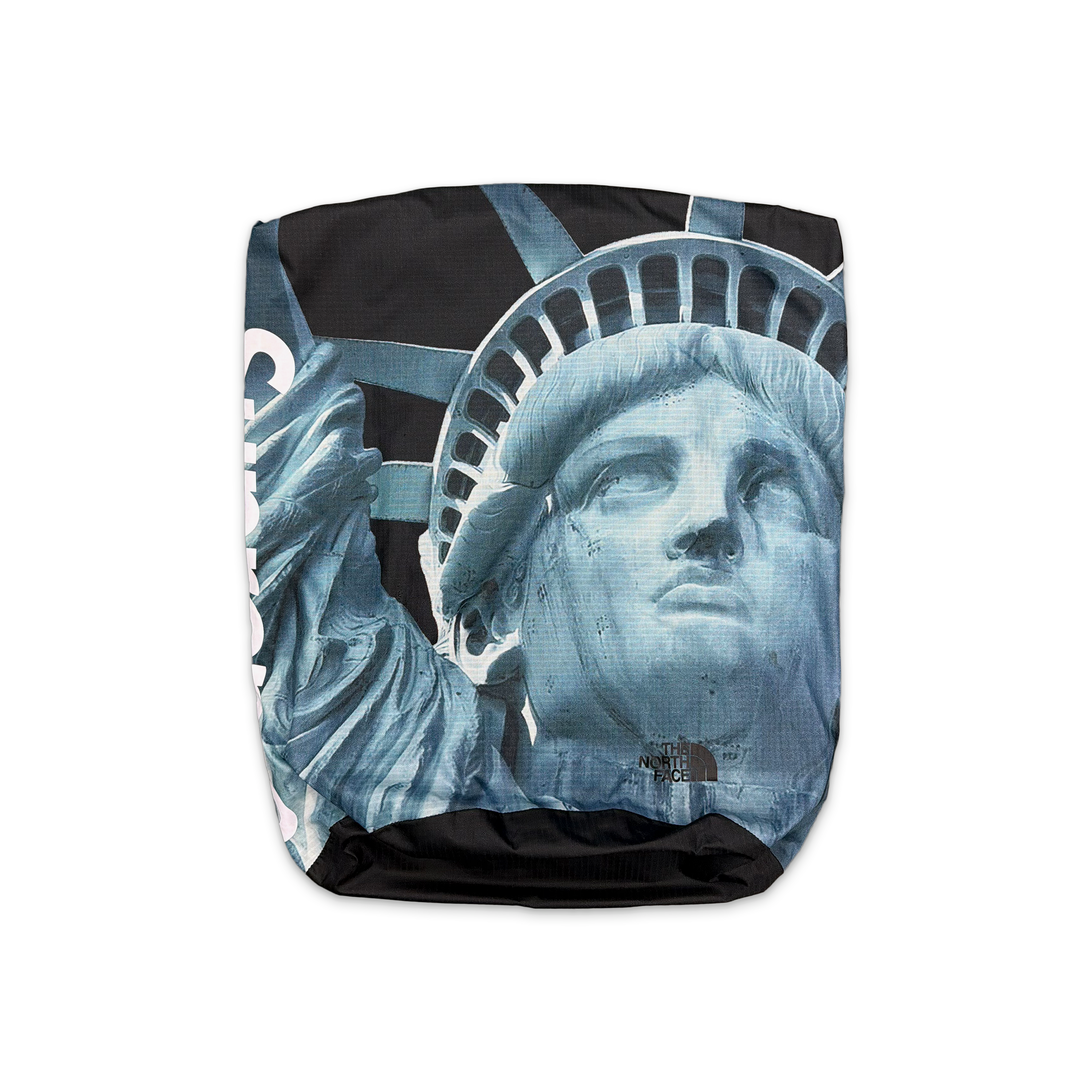 The North Face Statue of Liberty Waterproof Backpack "Black"