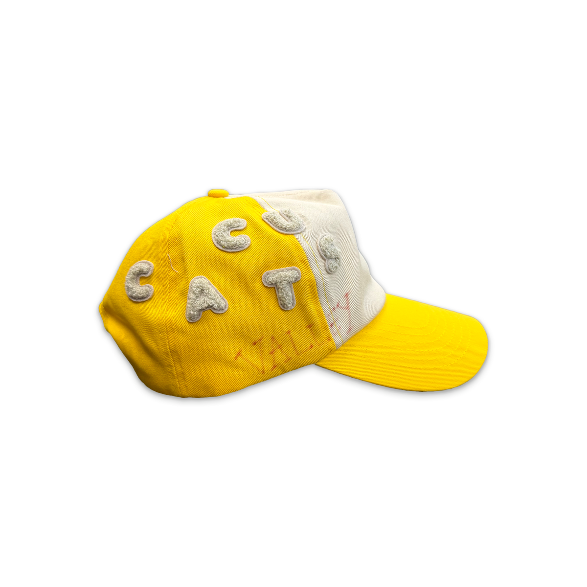 Cactus Valley, Side Tag Hat