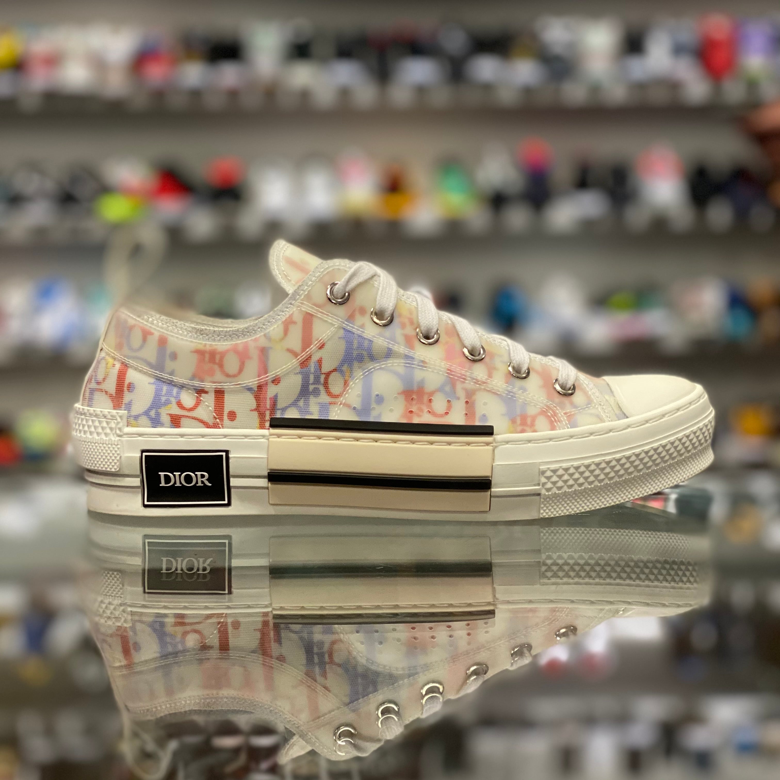 Dior B23 Low Oblique “MultiColor”