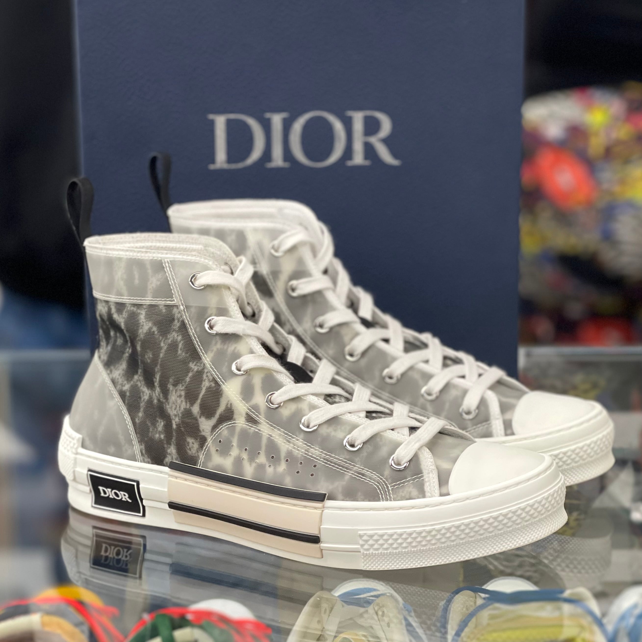 Dior B23 High Top “Leopard Mesh”