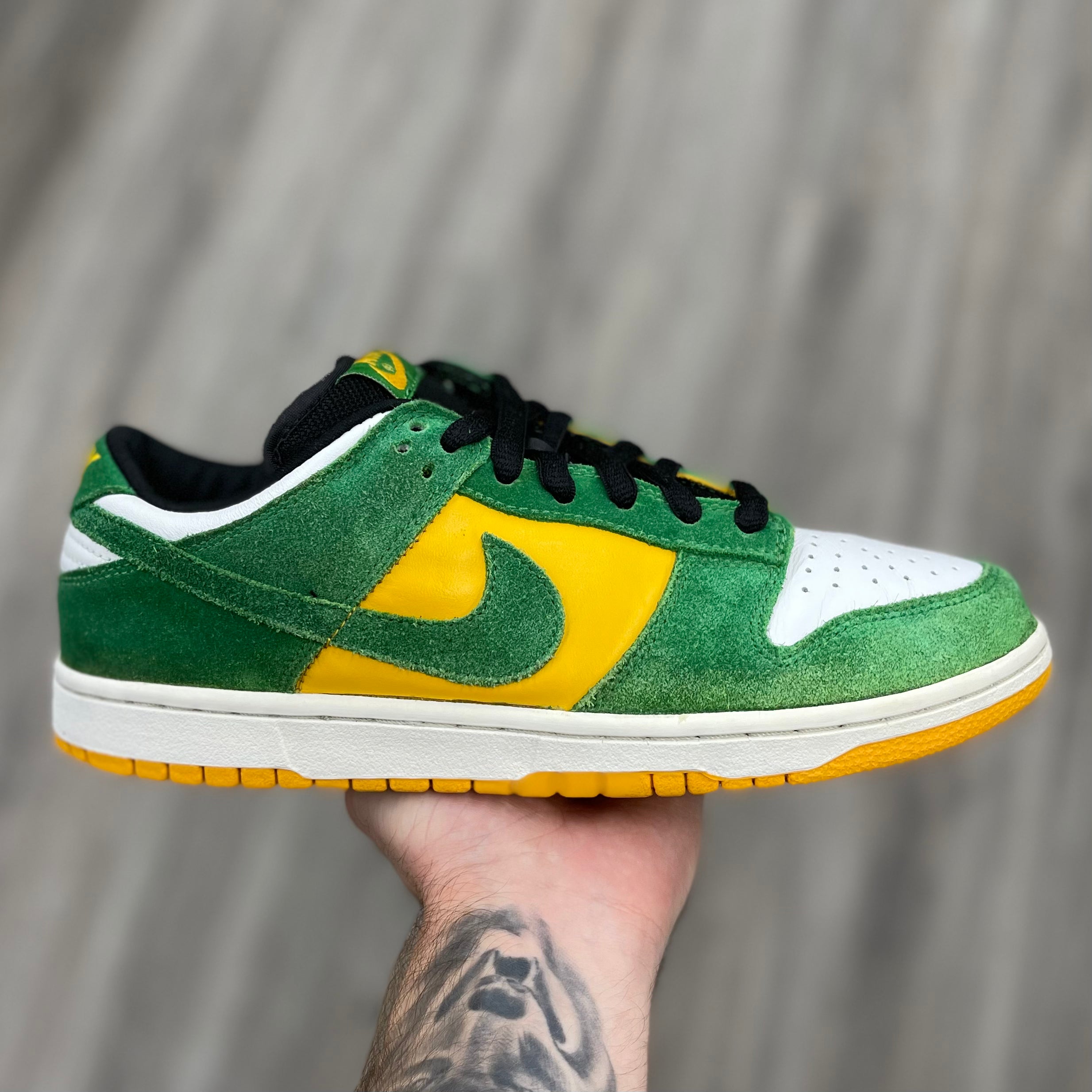 Dunk shop sb buck