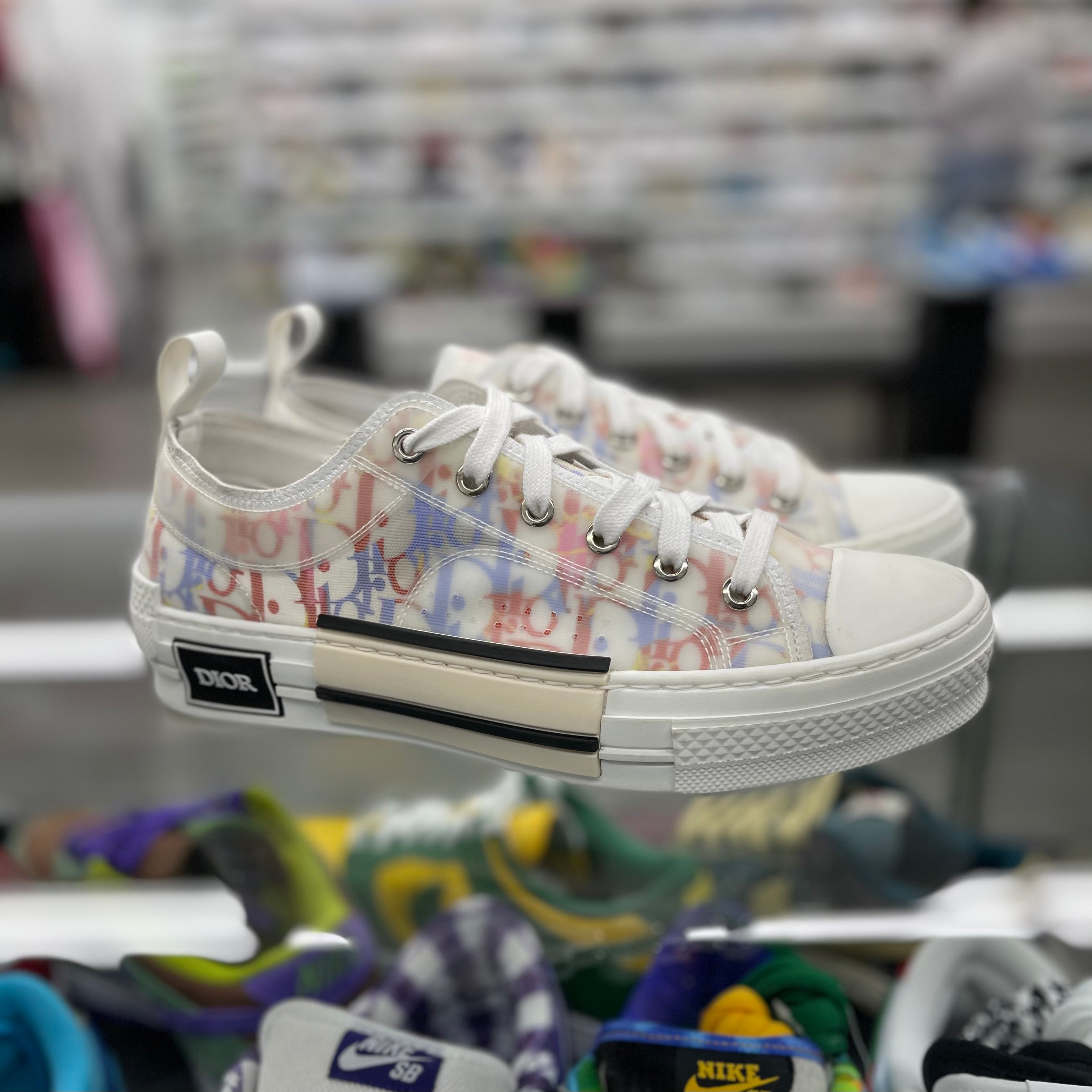 Dior B23 Low Oblique “MultiColor”