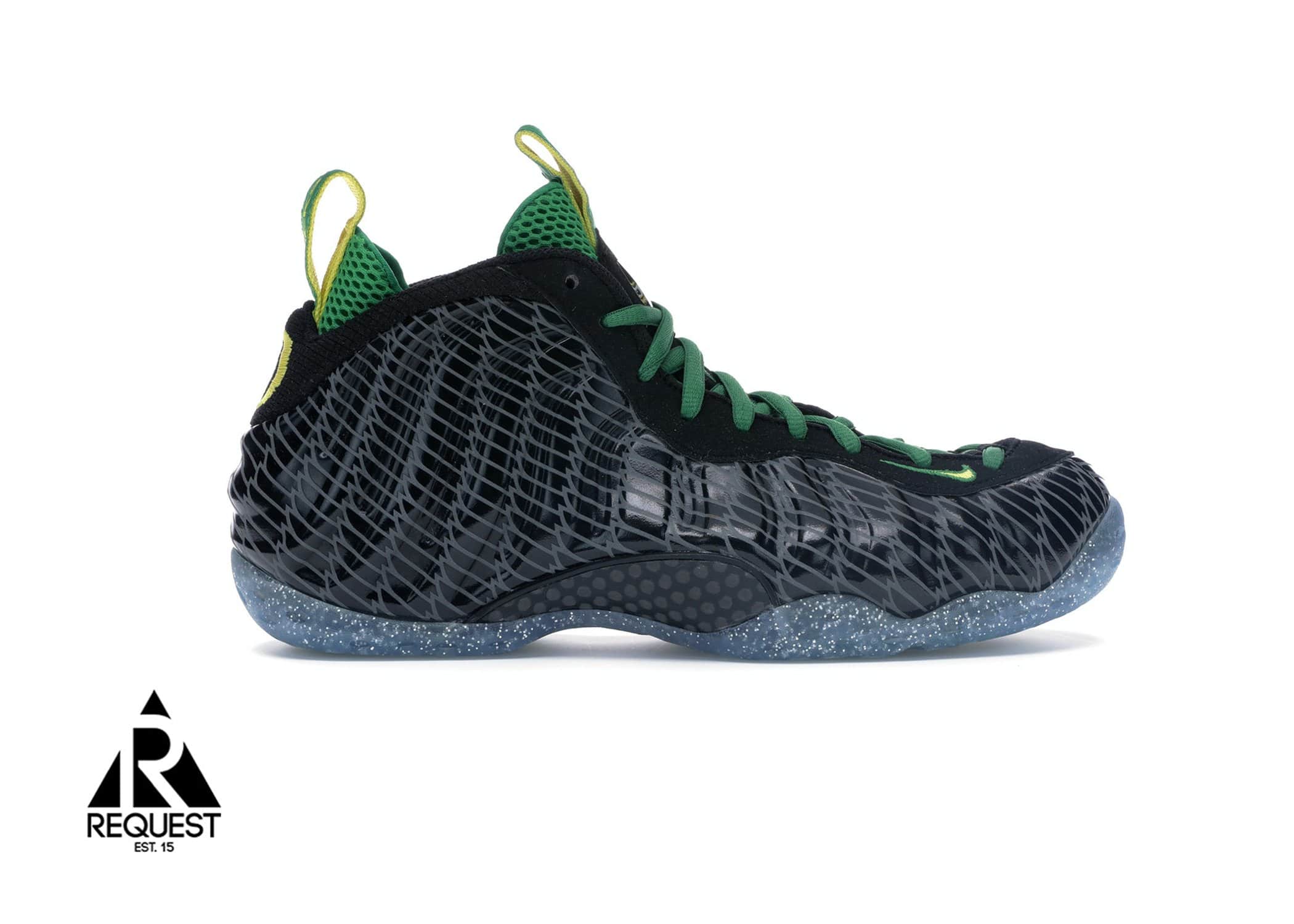 Oregon 2025 ducks foamposite