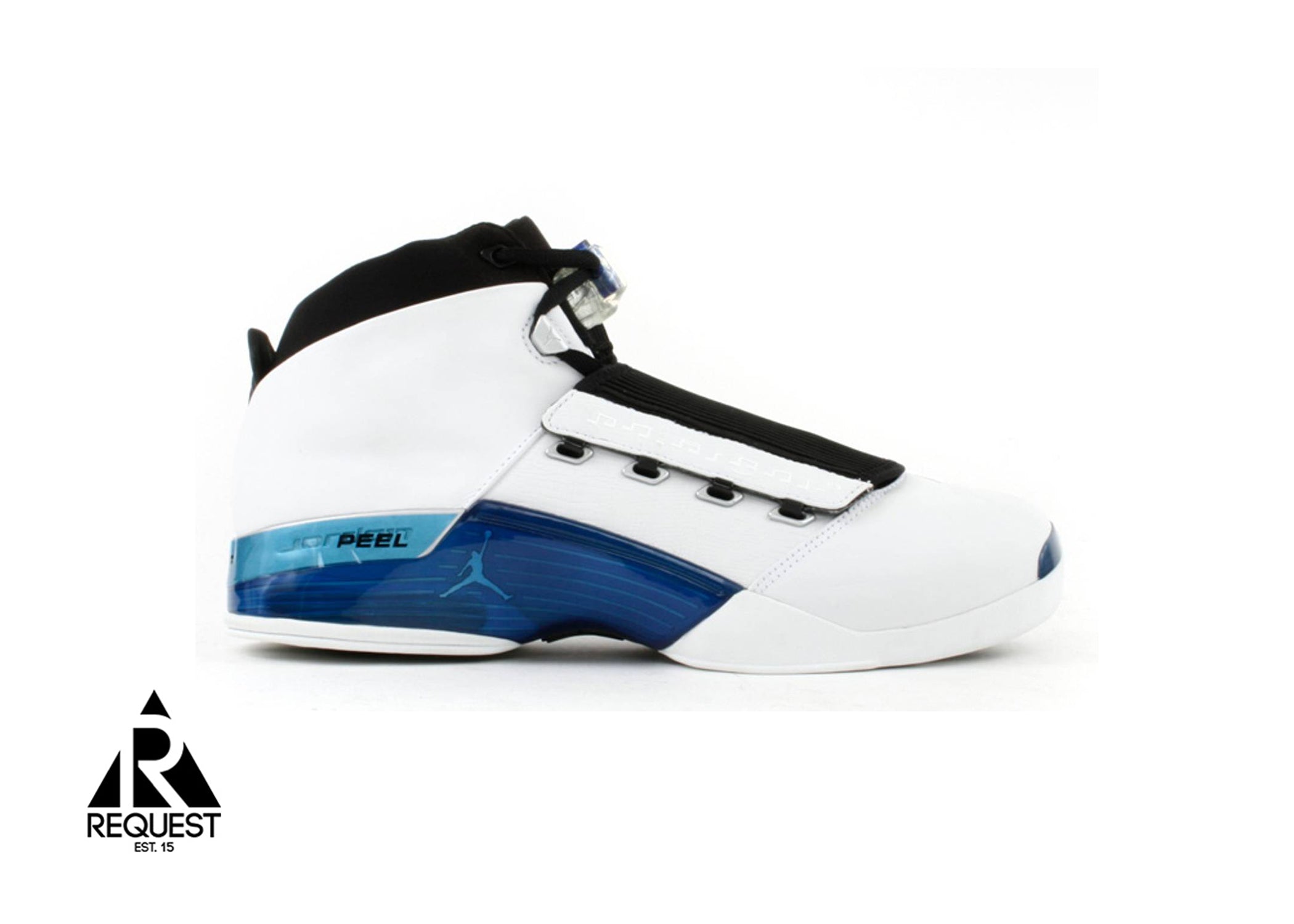 Jordan 17 OG "Wizards Home"